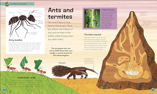 The Very Hungry Caterpillar's Very First Animal Encyclopedia: An Introduction to Animals, For VERY Hungry Young Minds