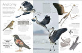 Bird (DK Eyewitness)