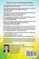 Beyond Balancing the Books: Sheer Mindfulness for Professionals in Work and Life - Retail Maharaj