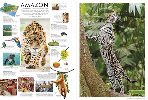 Eyewitness Encyclopedia Poster Book: More Than 30 Reversible Tear-Out Posters (DK Eyewitness)