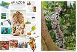 Eyewitness Encyclopedia Poster Book: More Than 30 Reversible Tear-Out Posters (DK Eyewitness)