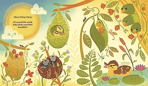 What's Inside A Bird's Nest?: And Other Questions About Nature & Life Cycles