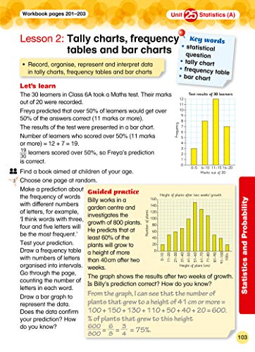 International Primary Maths Student's Book: Stage 6 (Collins International Primary Maths)