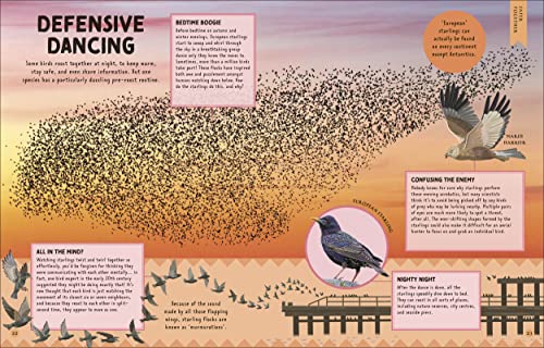 How Not to Get Eaten: More than 75 Incredible Animal Defenses (Wonders of Wildlife)