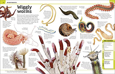 Animal Knowledge Genius!: A Quiz Encyclopedia to Boost Your Brain - Retail Maharaj