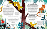 Everything Under the Sun: a curious question for every day of the year