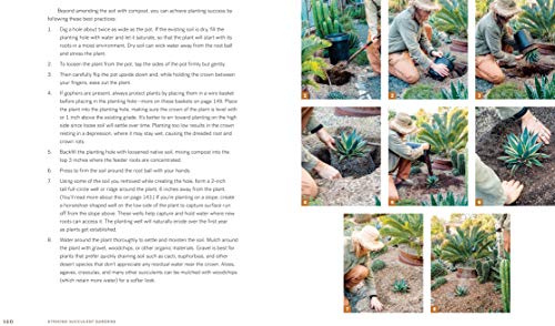 Striking Succulent Gardens: Plants and Plans for Designing Your Low-Maintenance Landscape [A Gardening Book]