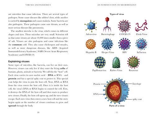 Penguin Readers Level 6: Viruses and Pandemics (ELT Graded Reader)