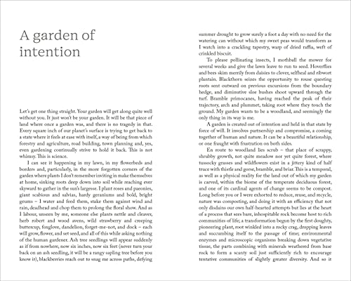 To Stand And Stare: How to Garden While Doing Next to Nothing