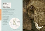 Ben Rothery's Weird and Wonderful Animals