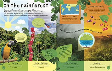 What's The Weather?: Clouds, Climate, and Global Warming - Retail Maharaj