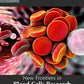 New Frontiers in Blood Cells Research and Hematology