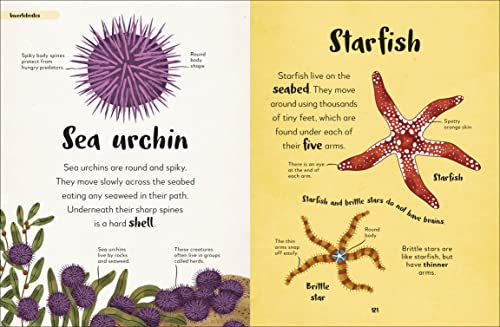 The Bedtime Book of Animals: Take a Peek at more than 50 of your Favourite Animals