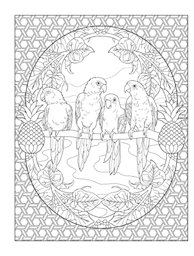 Creative Haven Tropical Wonders Coloring Book