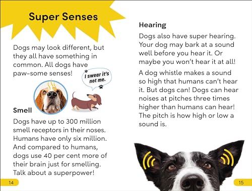 DK Super Readers Level 2 Dog Dude