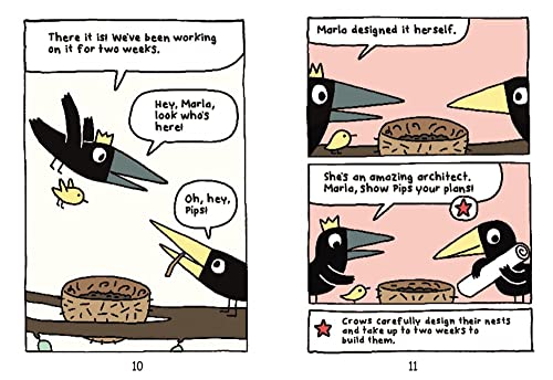 Arlo & Pips #3: New Kids in the Flock: New Chicks in the Flock - Retail Maharaj