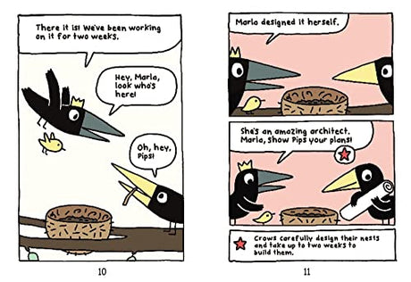 Arlo & Pips #3: New Kids in the Flock: New Chicks in the Flock - Retail Maharaj