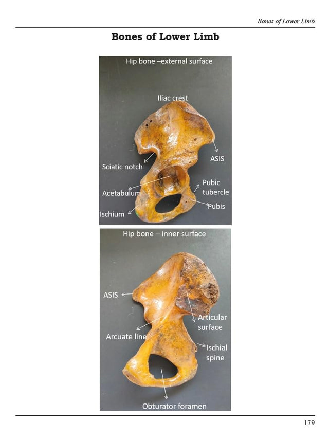 Competency Based Human Anatomy Set of 3 Volumes (Second Edition) - Retail Maharaj