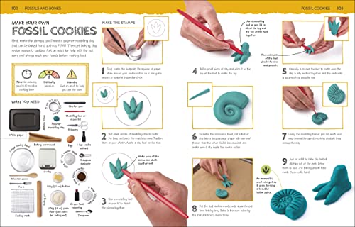 Dinosaur Activity Lab: Exciting Projects for Budding Palaeontologists (DK Activity Lab)