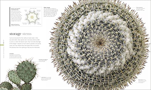 The Science of Plants: Inside their Secret World