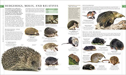 The Natural History Book: The Ultimate Visual Guide to Everything on Earth (DK Definitive Visual Encyclopedias)