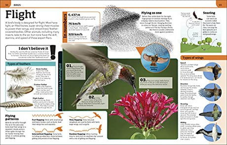 Animal Knowledge Genius!: A Quiz Encyclopedia to Boost Your Brain - Retail Maharaj