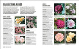Grow Roses: Essential Know-how and Expert Advice for Gardening Success