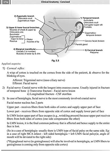 Clinical Anatomy Concised (Includes Gross Anatomy, Embryology, Histology, General Anatomy, Genetics and Model Question Papers) 1st Ed 2017