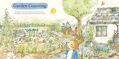 What Can You See Peter?: Very Big Lift the Flap Book (Peter Rabbit Baby Books) - Retail Maharaj