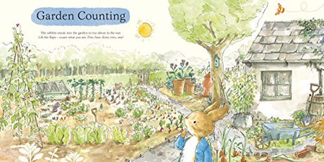 What Can You See Peter?: Very Big Lift the Flap Book (Peter Rabbit Baby Books) - Retail Maharaj