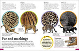 DKfindout! Big Cats