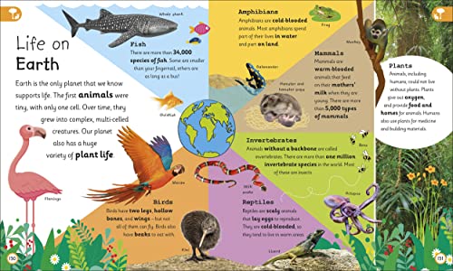My Very Important Earth Encyclopedia: For Little Learners Who Want to Know About Our Planet (My Very Important Encyclopedias)