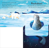 Pop-up Peekaboo! Winter: Pop-Up Surprise Under Every Flap!