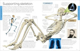 Human Body A Children's Encyclopedia