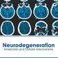 Neurodegeneration: Molecular and Cellular Mechanisms