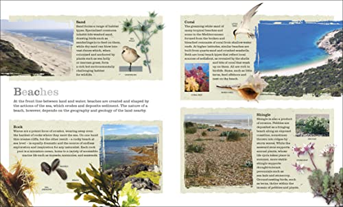Chris Packham's Nature Handbook: Explore the Wonders of the Natural World