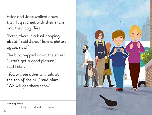 Key Words LVL : 7a : The Best Picture (Key Words with Peter and Jane)
