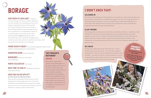 Foraging: The Complete Guide for Kids and Families!: The fun and easy guide to the great outdoors