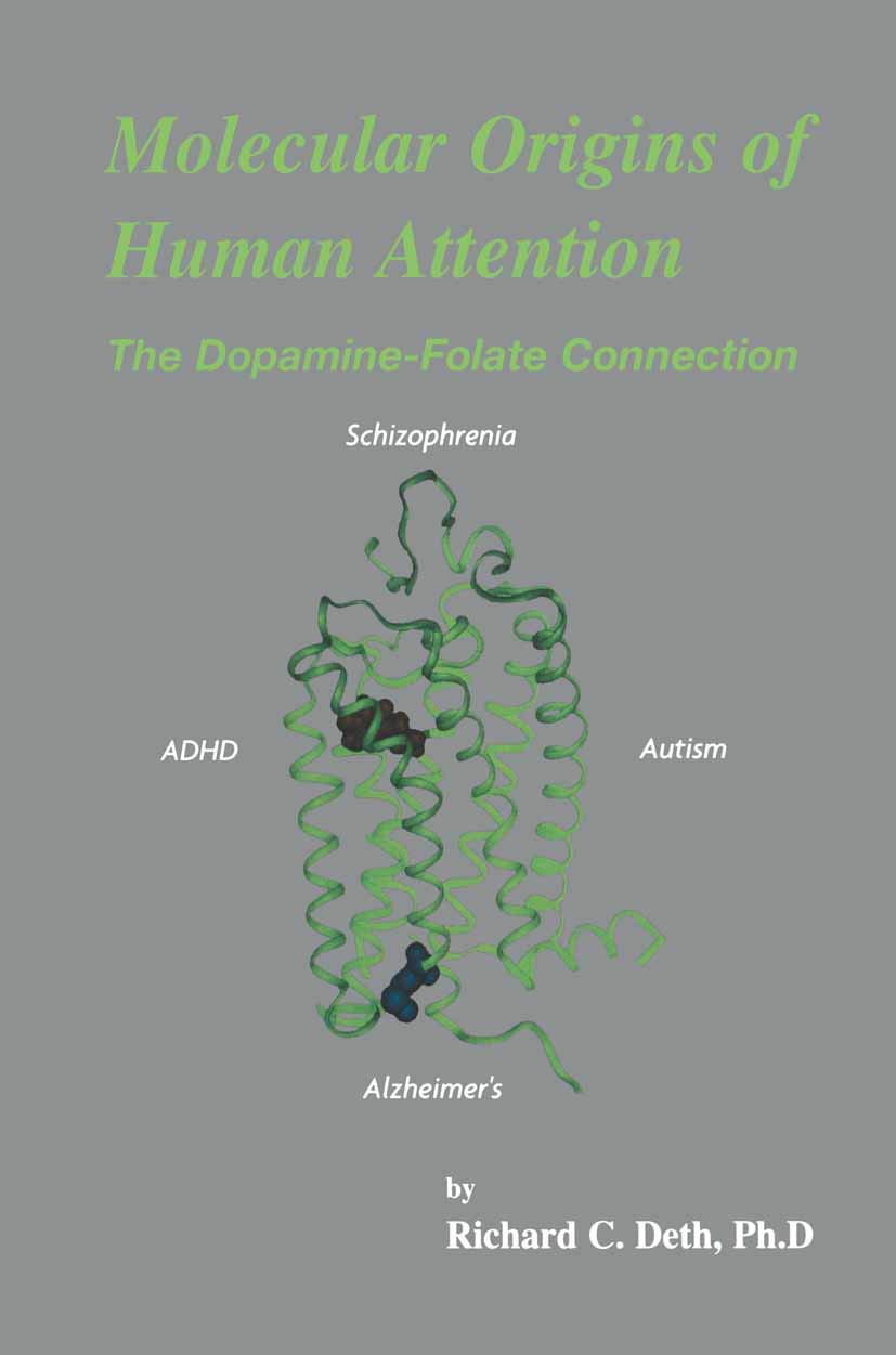 Molecular Origins of Human Attention: The Dopamine-Folate Connection