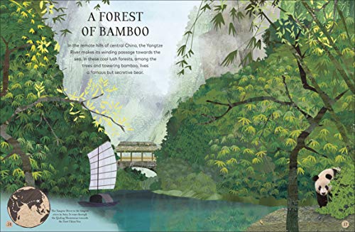 Through the Animal Kingdom: Discover Amazing Animals and Their Remarkable Homes (Journey Through)