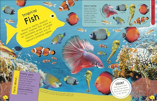 The Fact-Packed Activity Book: Sharks and Other Sea Creatures