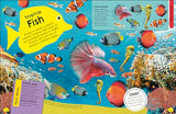 The Fact-Packed Activity Book: Sharks and Other Sea Creatures