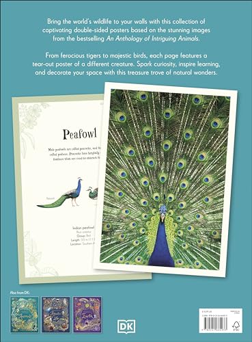 An Anthology of Intriguing Animals Poster Book: With More Than 30 Reversible Tear-Out Posters