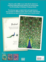 An Anthology of Intriguing Animals Poster Book: With More Than 30 Reversible Tear-Out Posters