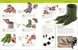 Dinosaur Activity Lab: Exciting Projects for Budding Palaeontologists (DK Activity Lab)