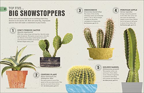 Happy Cactus