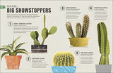 Happy Cactus