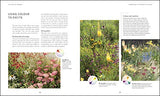 RHS Your Wellbeing Garden