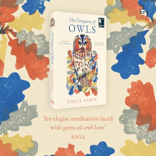 The Company of Owls: The perfect stocking filler the bird lover in your life - Retail Maharaj