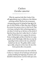 Our Garden Birds: a stunning illustrated guide to the birdlife of the British Isles - Retail Maharaj